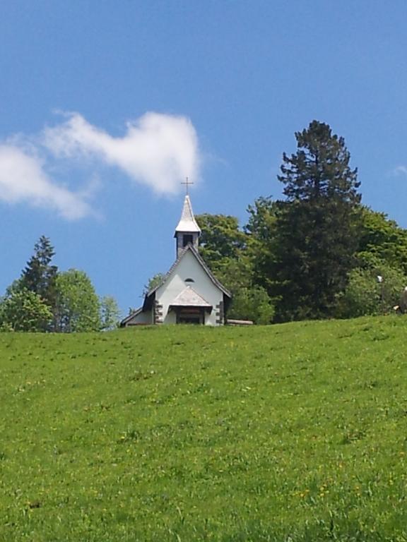 Bergseele Privat- & Retreathotel Schwarzwald Todtnauberg Zewnętrze zdjęcie