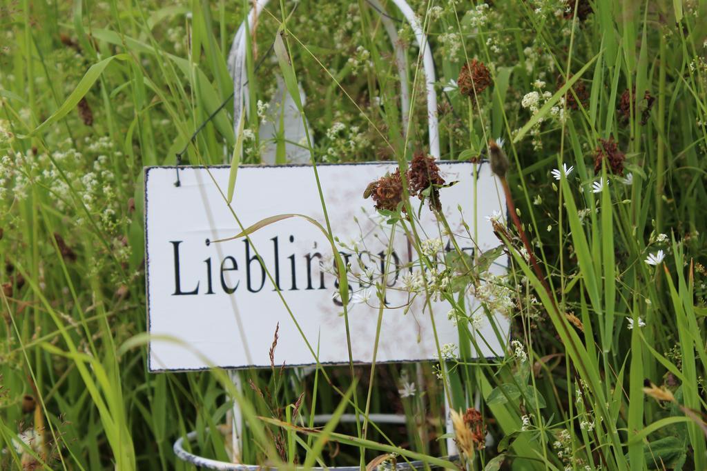 Bergseele Privat- & Retreathotel Schwarzwald Todtnauberg Zewnętrze zdjęcie